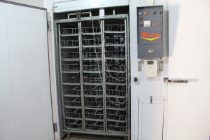 incubater-on-high-gate-ostridge-farm