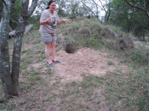 Field guide next to den hole