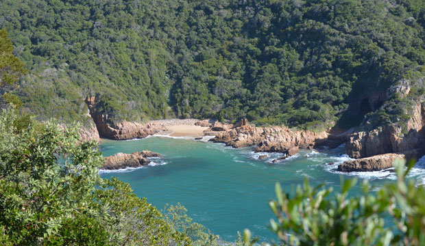 Beautiful Rocky Coast of Knysna along the Garden Route in South Africa