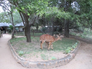Njala Marcs Camp