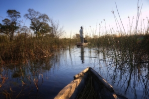 Mokoro in Delta