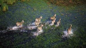 Scenic aerial flight Okavango Delta