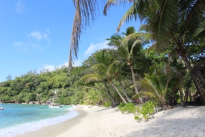 Beach Mahe