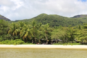 Island Forrest